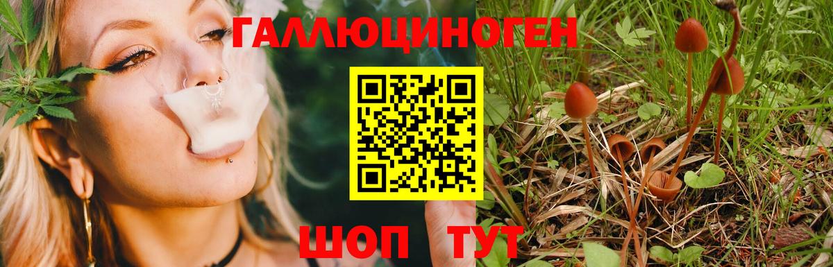 Галлюциногенные грибы мухоморы Клин