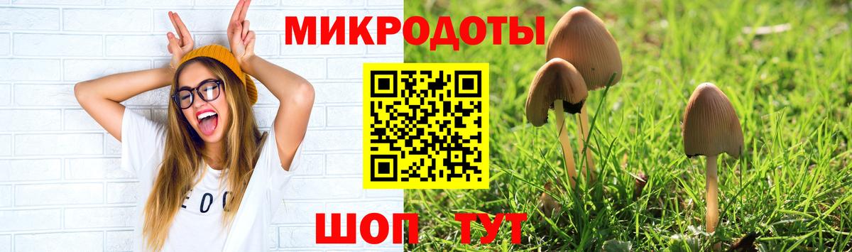 Клин  купить закладку  Вход с VPN  Псилоцибиновые грибы мицелий 